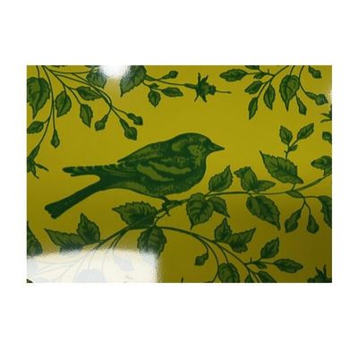 Regular Spangle Structure Coated Steel Coil Dengan Cat PE/SMP/HDP/PVDF